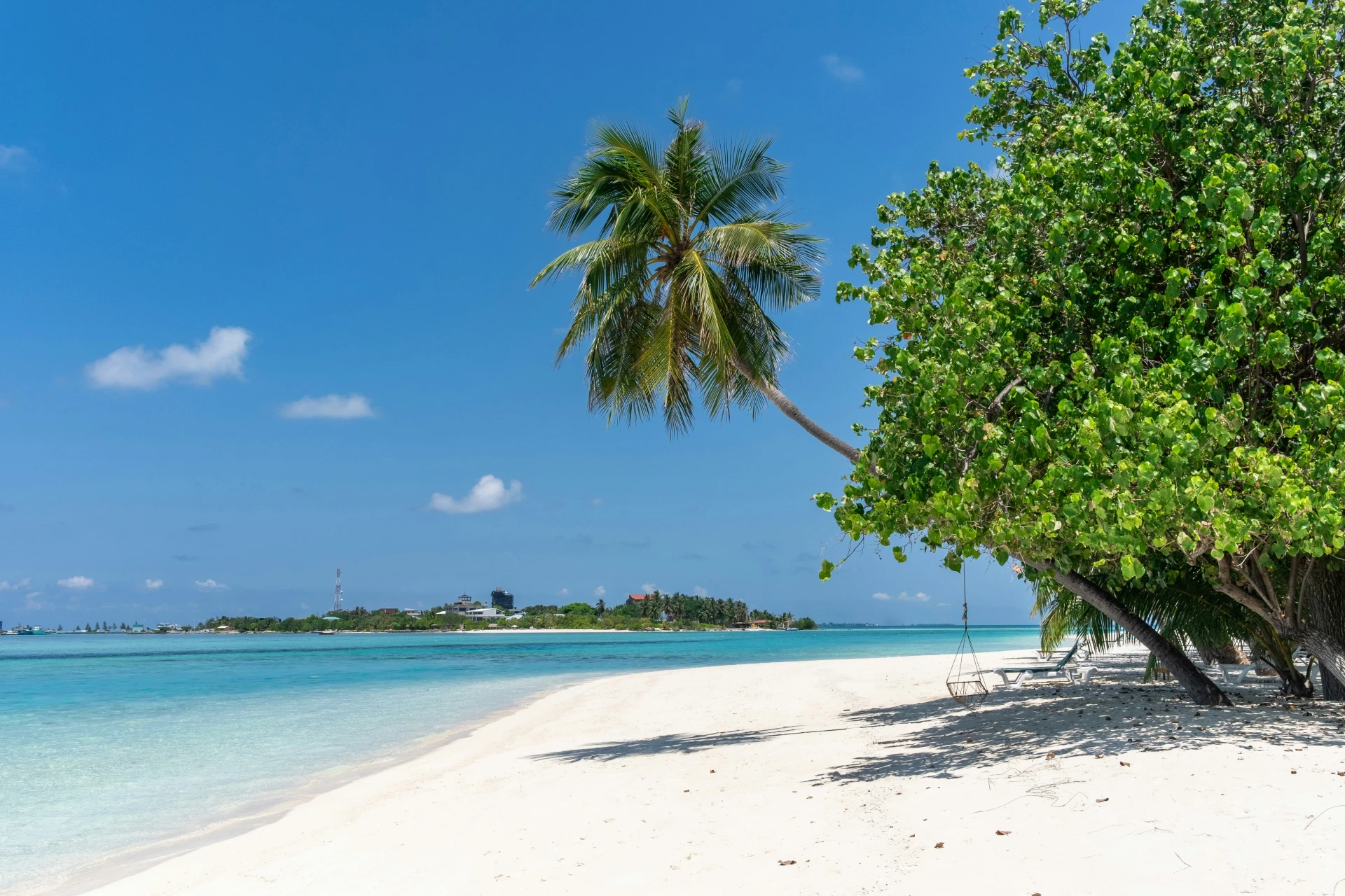 tropisch strand