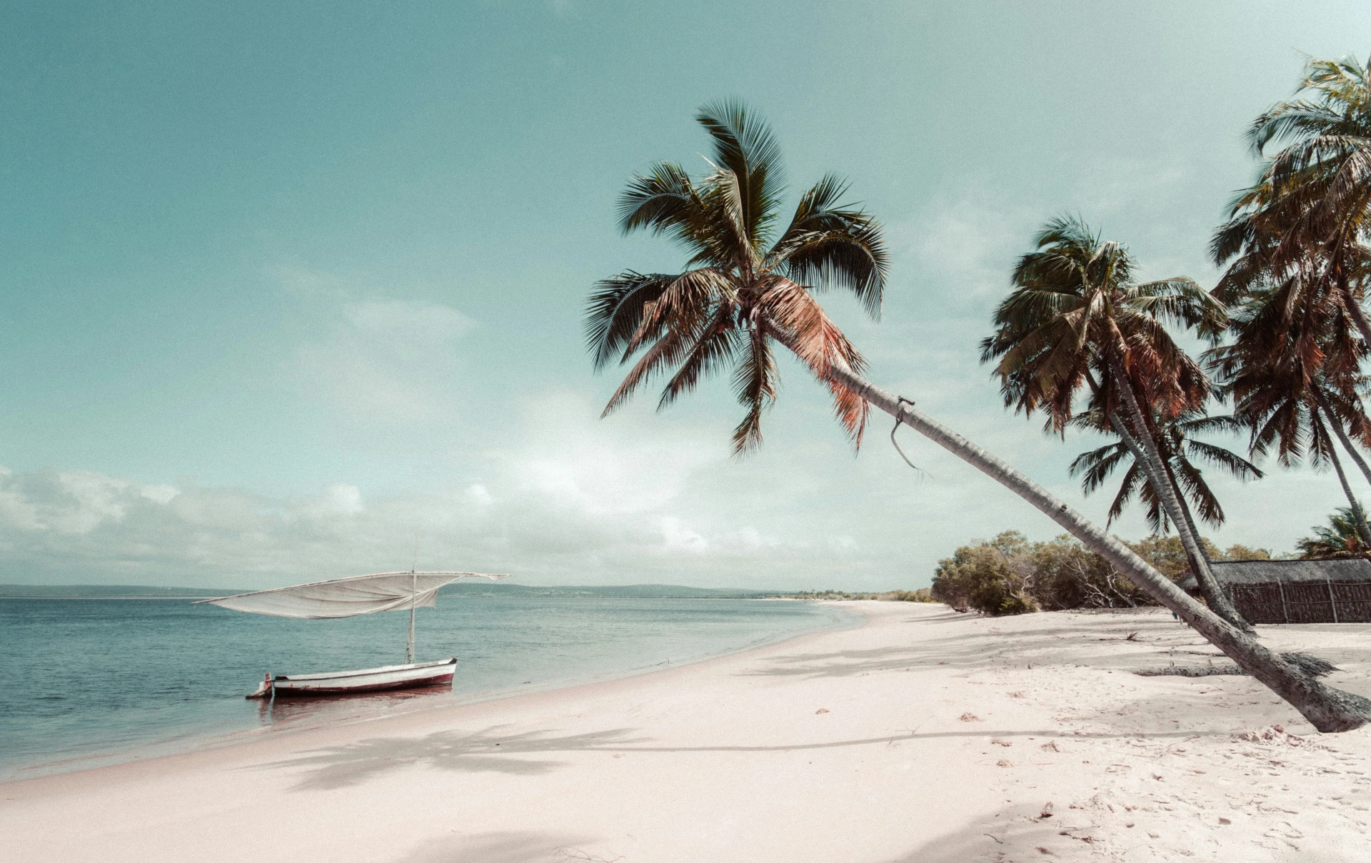tropisch strand met palmboom en bootje