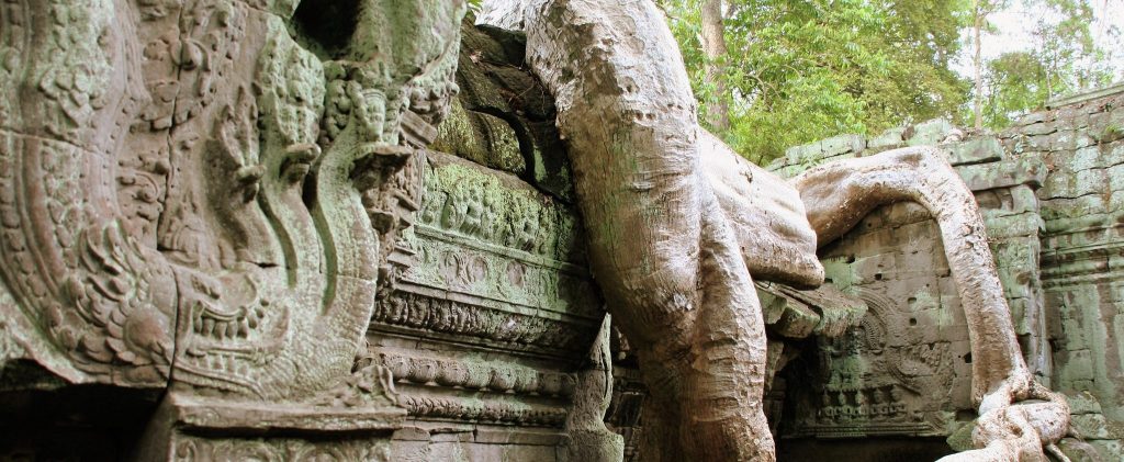 Bezoek tijdens uw avontuurlijke rondreis Cambodja de Angkor Wat Tomb Raider tempel