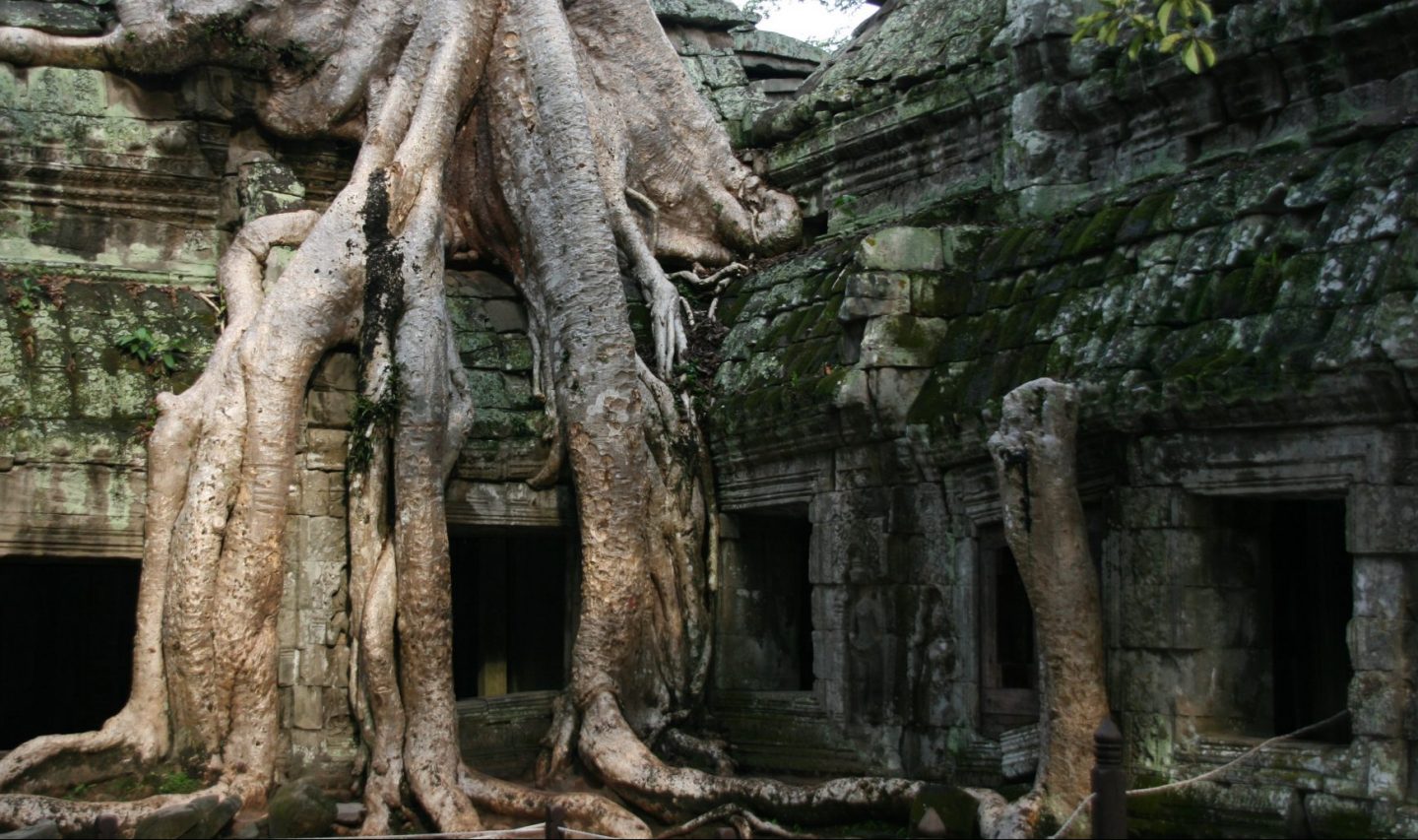 angor thom tempel angelina joli tomb raider cambodja