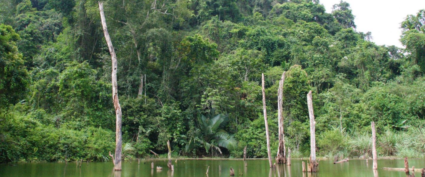 Cuc Phuong oerwoud jungle wandelen