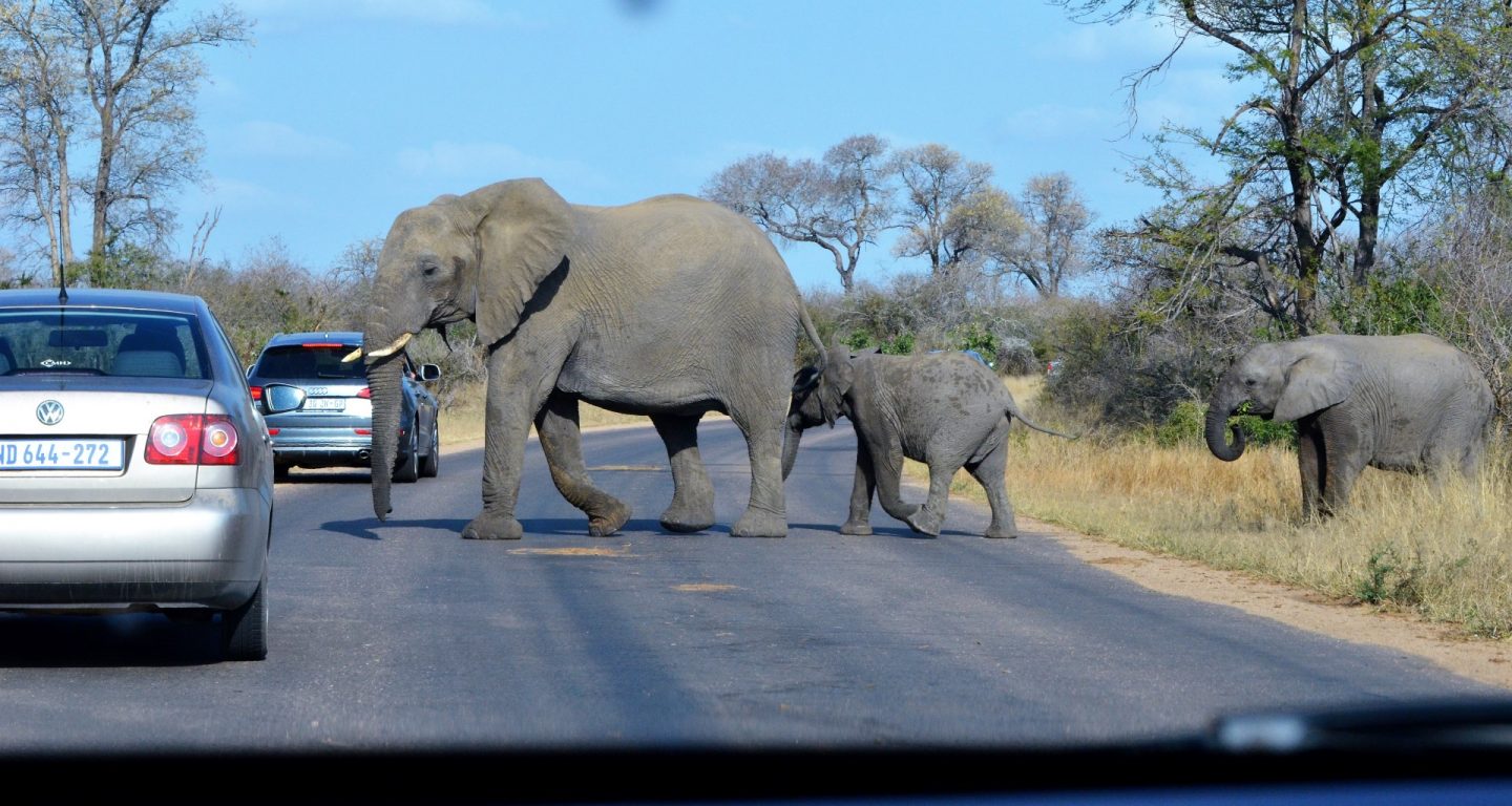 Game Drives in Kruger Park , treasury travel, rondreizen, maatreizen, vakantie, zuid afrika,