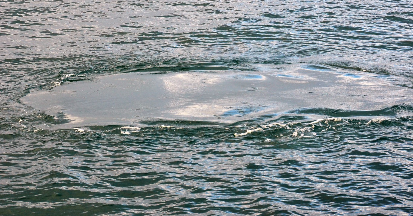de Footrpint van een walvis als hij net onder water gedoken is 