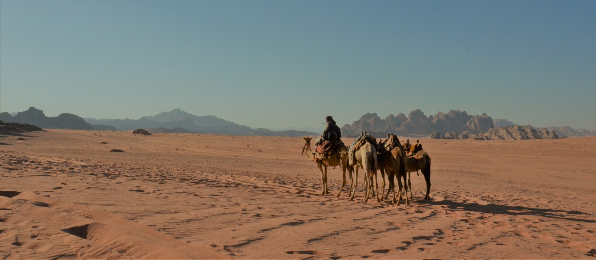 Wadi Rum woestijn 