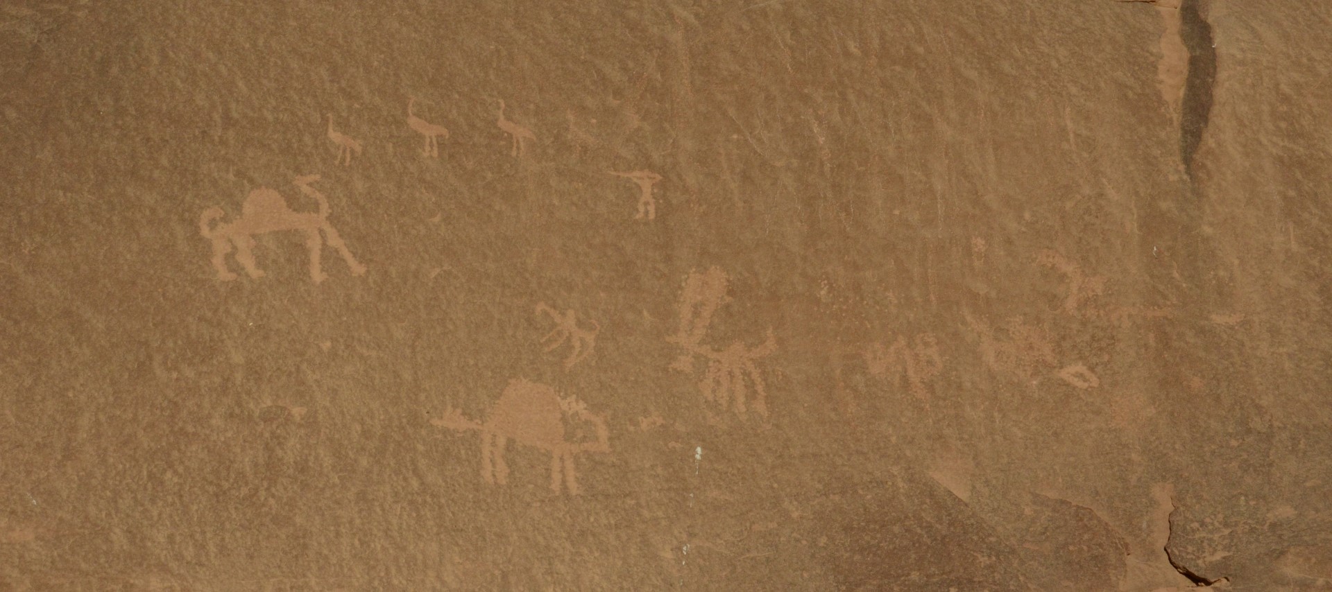 Prehistorische rotstekeningen in Wadi Rum, Jordanië