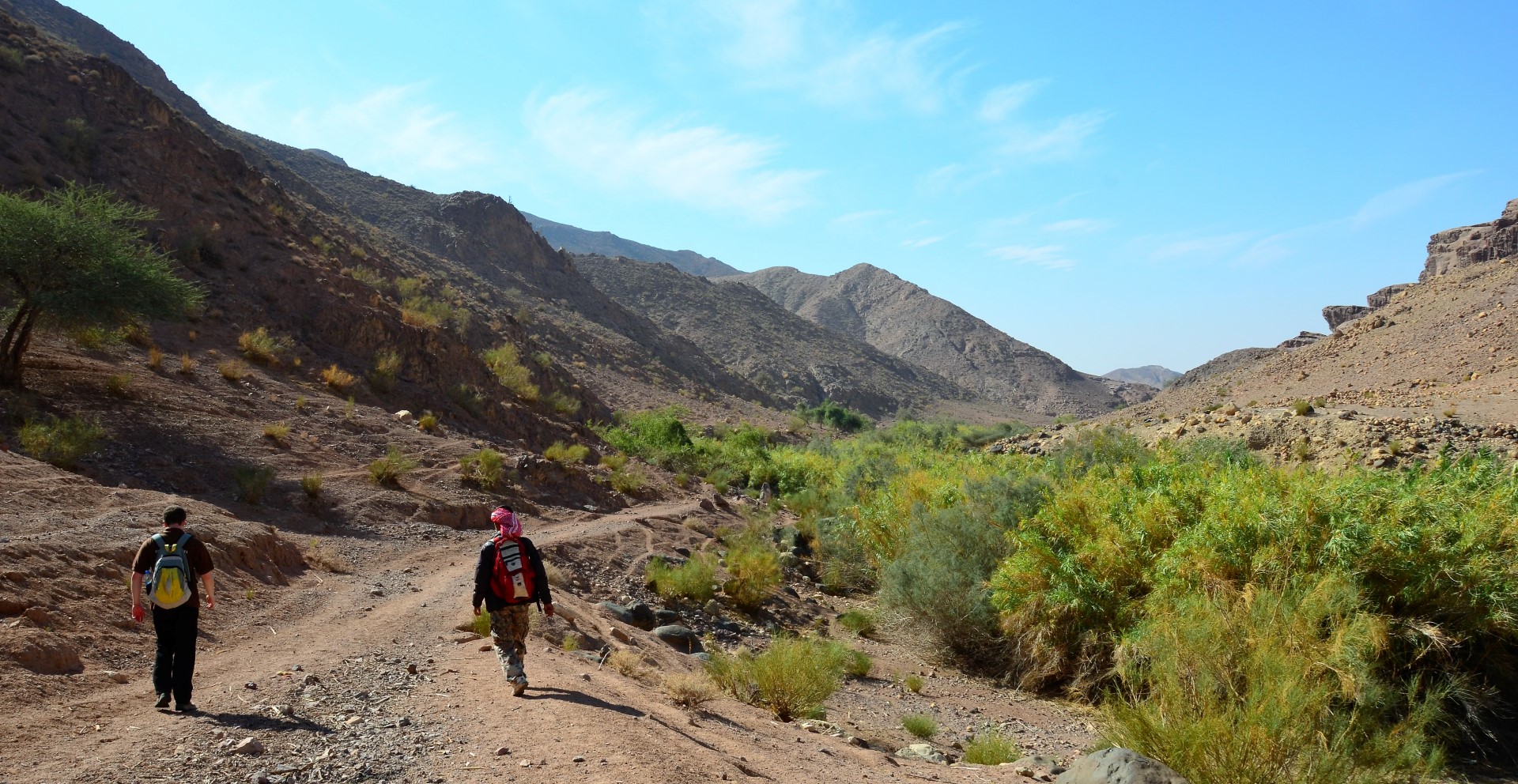 Wandelen in Wadi Dana natuurlijk jordanie