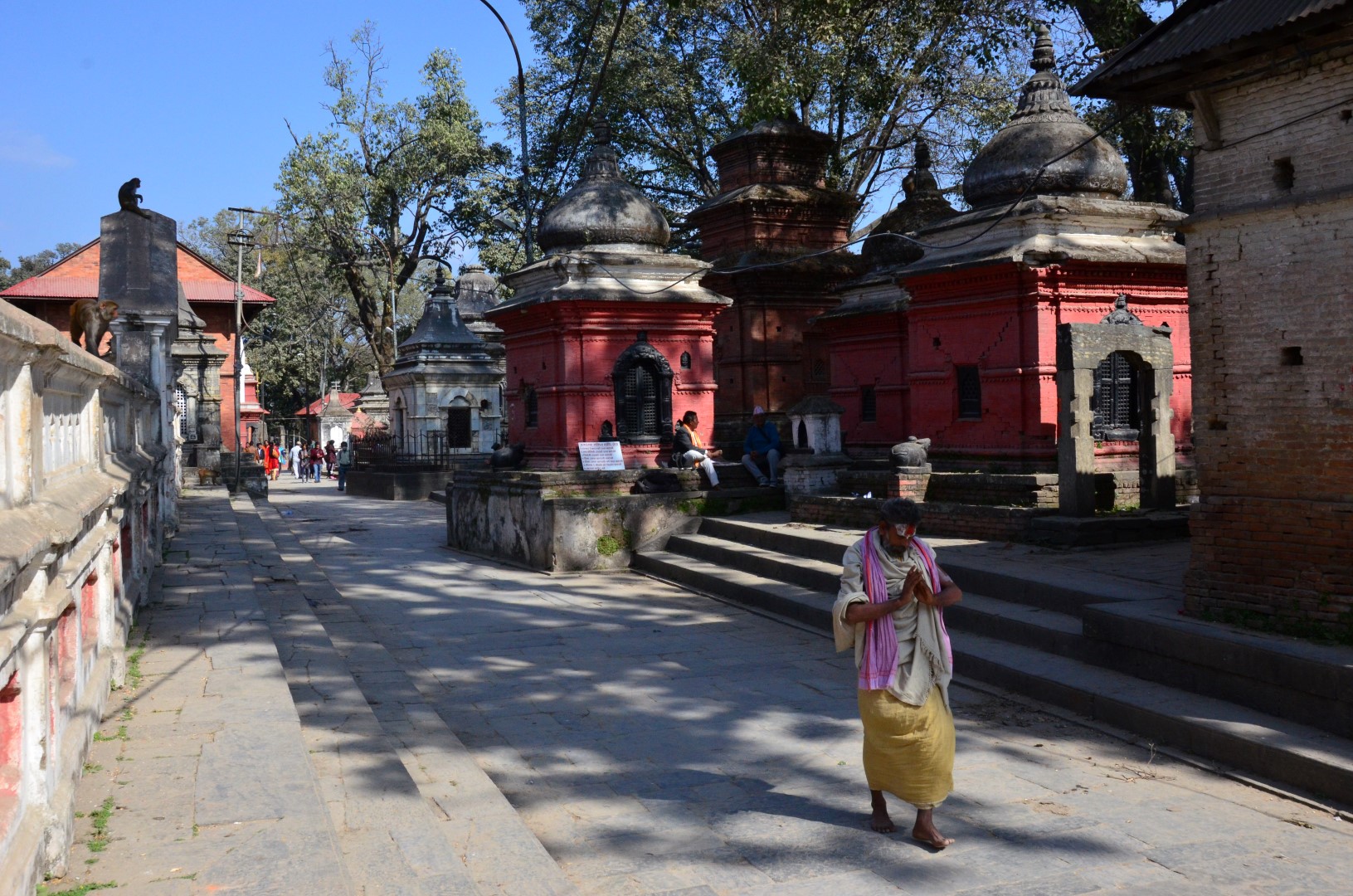 Pashupatinath Tempel, Kathmandu 