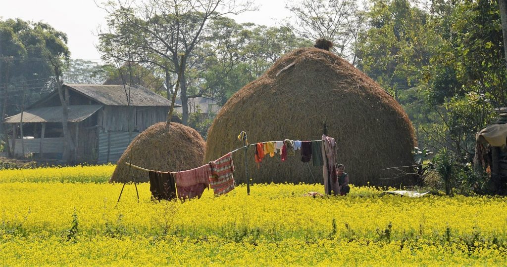 Het lokale leven rond Chitwan National Park