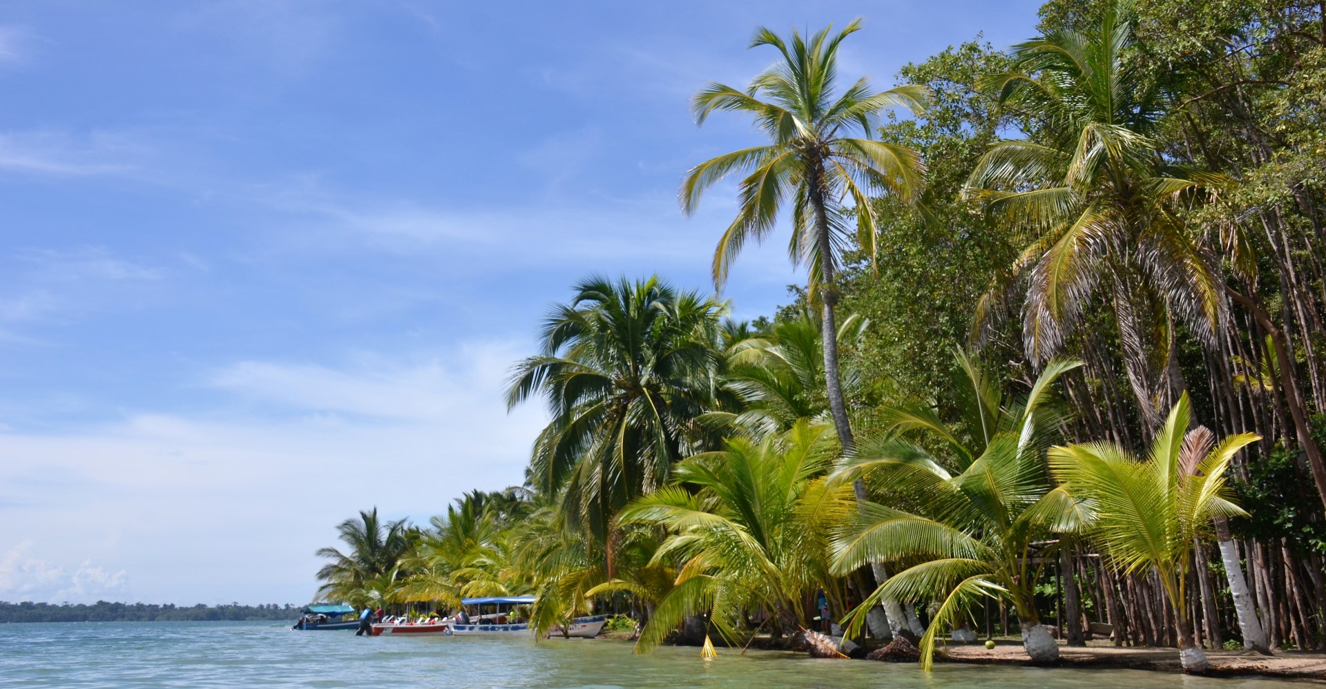 Eilandhopppen in Bocas del Toro tijdens uw rondreis Panama per huurauto