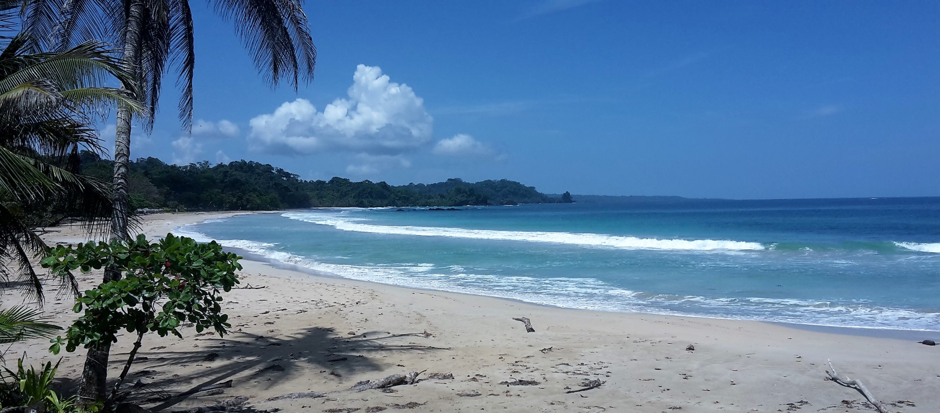 Red Frog beach, Bastiementos, Bocas del Toro, aanbeding vakantiebeurs panama
