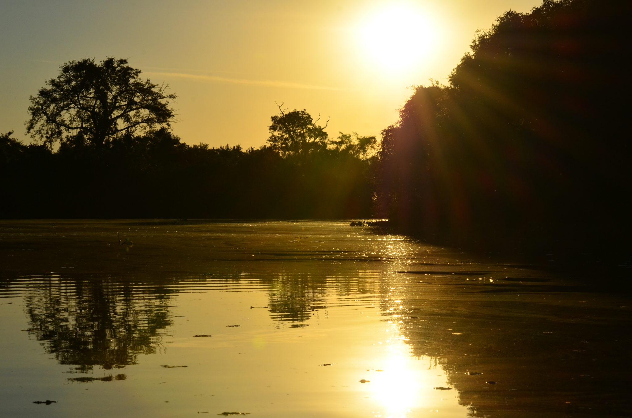 zonsondergang-cuaiba-rivier-pantanal-brazilie