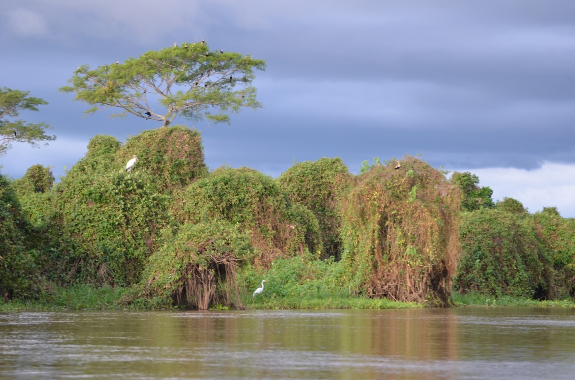 cuíaba-rivier-pantanal-brazilie-vakantie-treasury-travel