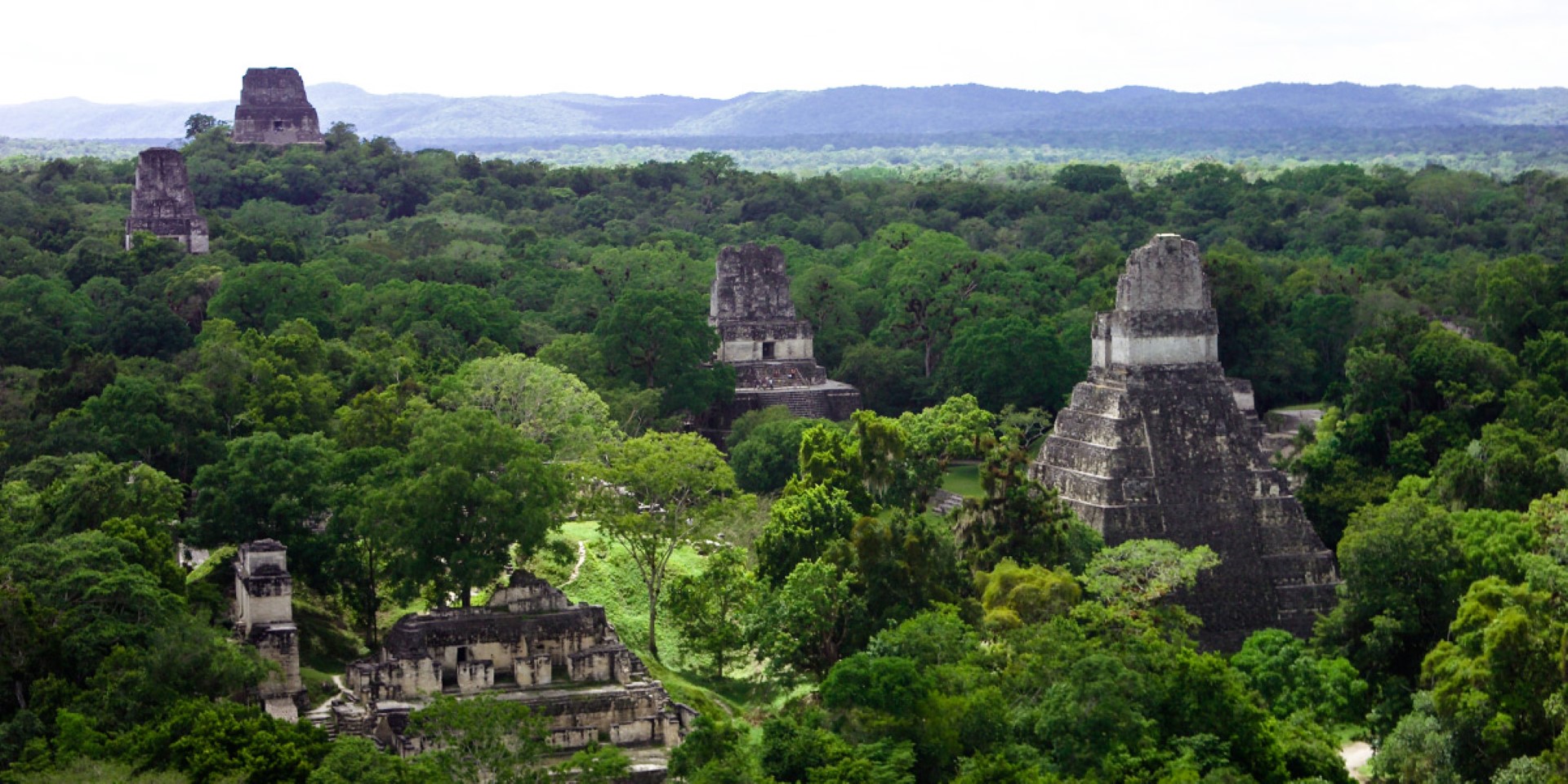 Tikal_maya_stad_guatemala_rondreis_treasury_travel